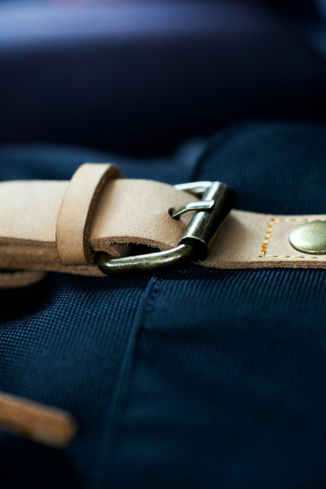luxury belt closeup